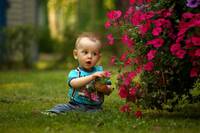Kind spielt mit Blumenblüten